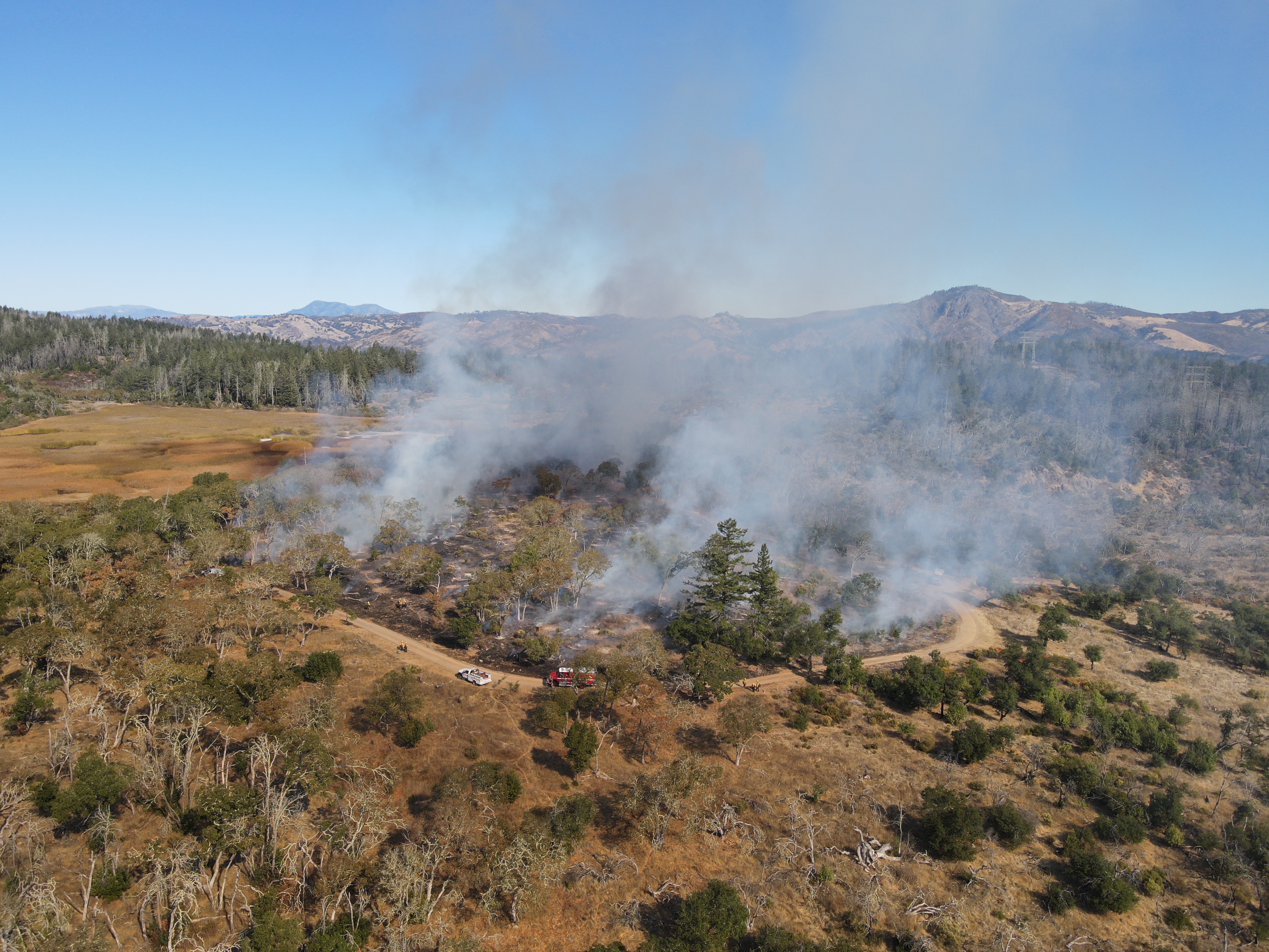 Prescribed Burn Near Ledson Marsh in 2024
